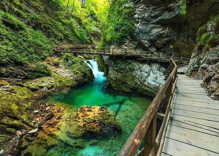 Apartma Rebeka Accommodatie bij particulieren Zgornje Gorje